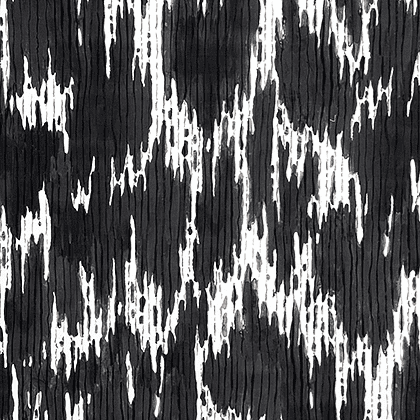 Thibaut Maverick Fabric in Black